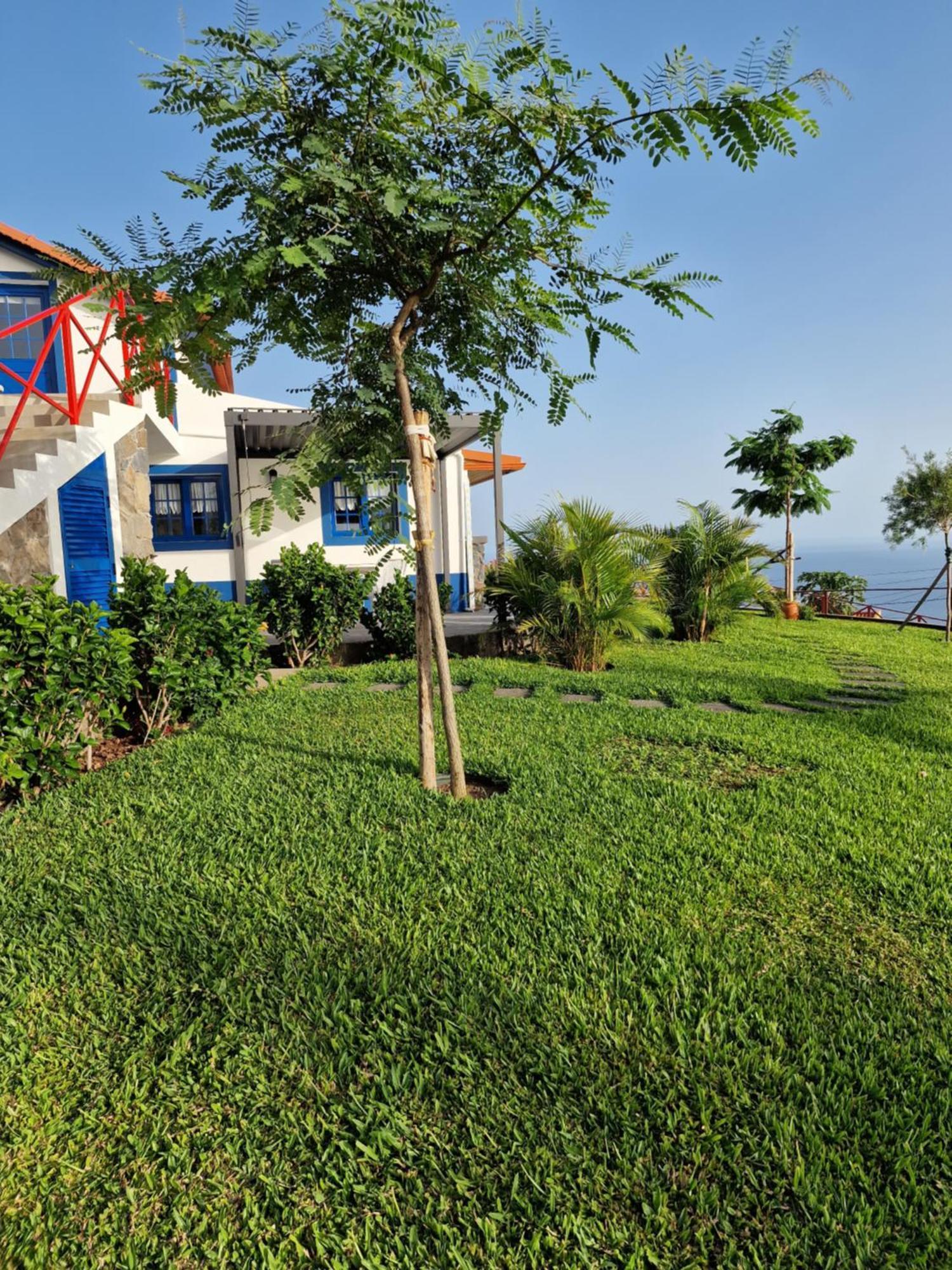 Casa Villa Dinastia Sotao Y Casa Villa Dinastia Miramar Рибейра Брава Екстериор снимка