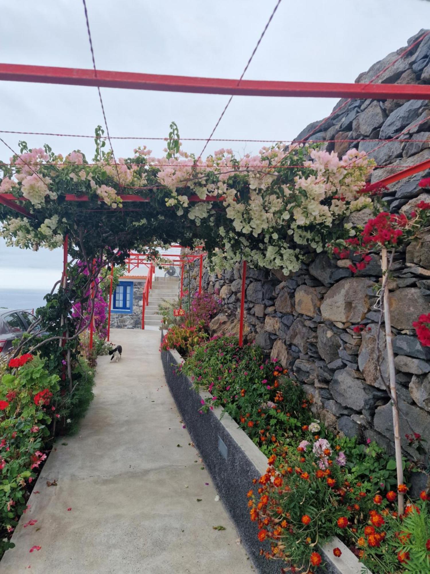 Casa Villa Dinastia Sotao Y Casa Villa Dinastia Miramar Рибейра Брава Екстериор снимка